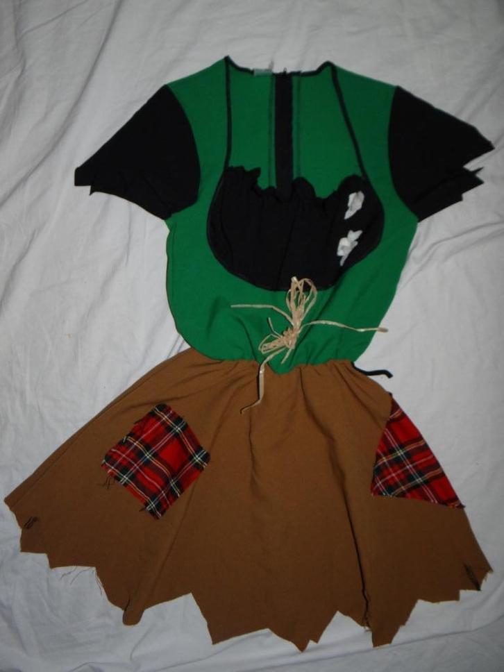 Leuk groen/zwart/bruin VOGELVERSCHRIKKER/WIZARD OZ jurk, Kleding | Dames, Carnavalskleding en Feestkleding, Gedragen, Kleding
