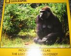 DVD The lost film of Dian Fossey Berg Gorilla's 1968-1972, Vanaf 16 jaar, Verzenden, Nieuw in verpakking, Oorlog of Misdaad