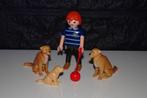 12 - Honden golden retrievers 5209, Ophalen of Verzenden
