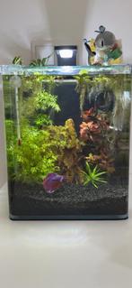 20 L leeg aquarium dennerle, Ophalen of Verzenden, Zo goed als nieuw, Leeg aquarium