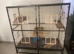 Kooi dieren, Dieren en Toebehoren, Ophalen, Kooi, Hamster, 90 cm of meer