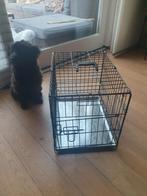 Bench maat S, Dieren en Toebehoren, Ophalen, Zo goed als nieuw