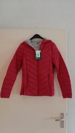 LICHTGEWICHT CRIVIT OUTDOOR WANDEL FIETS JASJE JACK 36/38, Nieuw, Ophalen of Verzenden, Roze, Maat 36 (S)