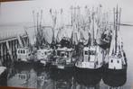 Garnalenkotters in Zoutkamp - nieuw, Verzenden, 1980 tot heden, Ongelopen, Overige thema's