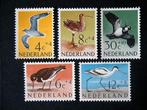 J 11 Nederland 1961 P.F. / Vogels, Postzegels en Munten, Postzegels | Nederland, Ophalen of Verzenden, Na 1940, Postfris