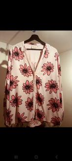 Fabiene chapot, Kleding | Dames, Ophalen of Verzenden, Zo goed als nieuw, Fabienne Chapot, Roze