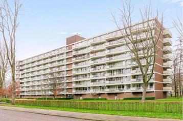 NIEUW! Woonruimte te huur Joliotplaats, Rotterdam beschikbaar voor biedingen