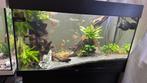 diverse aquariums, Dieren en Toebehoren, Vissen | Aquaria en Toebehoren, Ophalen of Verzenden