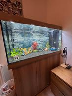 Juwel Aquarium Rio 350, Dieren en Toebehoren, Vissen | Aquaria en Toebehoren, Ophalen, Zo goed als nieuw, Leeg aquarium