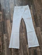 witte flaired jeans van Nina carter maat L, Ophalen of Verzenden, Nieuw, Wit, W28 - W29 (confectie 36)