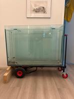 Peninsula aquarium 100 mm dik glas, Dieren en Toebehoren, Vissen | Aquaria en Toebehoren, Ophalen of Verzenden, Zo goed als nieuw