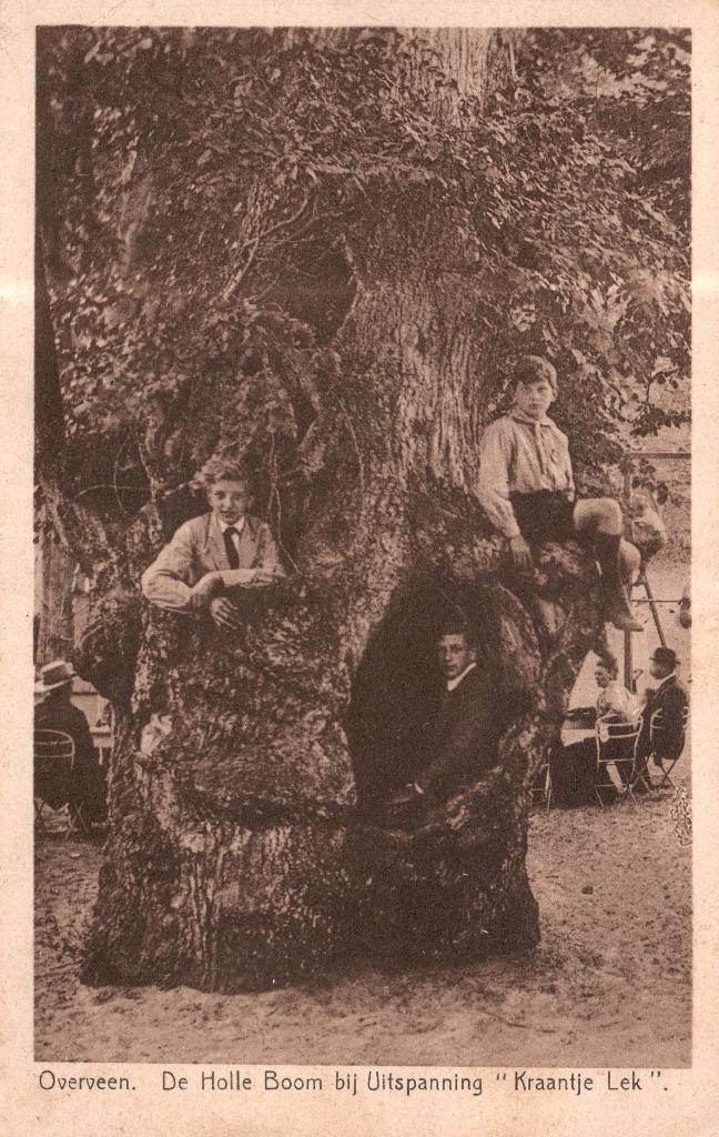 Overveen, holle boom Kraantje Lek (1928) 130633, Verzamelen, Ansichtkaarten | Nederland, Gelopen, Noord-Holland, 1920 tot 1940