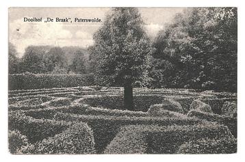 990518 Paterswolde Drenthe Doolhof de Braak 1925 .Gelopen beschikbaar voor biedingen