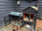 2 lieve konijnen met hok en voer en accessoires, Dieren en Toebehoren, Konijnen, Meerdere dieren, Middelgroot, 3 tot 5 jaar