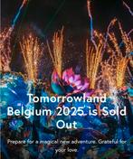 VIP TOMORROWLAND 2025 LAST MINUTE HOSPITALITY ARRANGEMENTEN