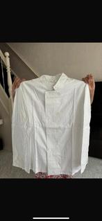 Witte schort €1,- maat L (+- 300 stuks), Ophalen, Nieuw, Wit