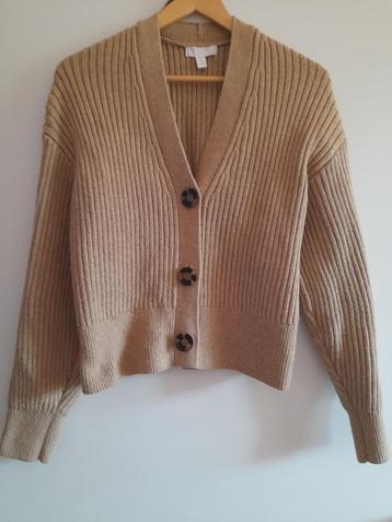 H m vest maat xs beschikbaar voor biedingen