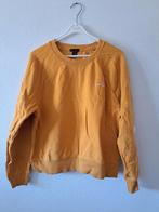 gele amisu trui maat XL, Kleding | Dames, Grote Maten, Ophalen of Verzenden, Zo goed als nieuw, Amisu, Geel