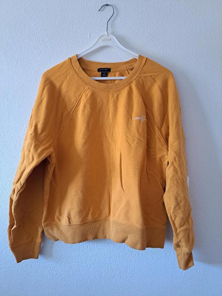 gele amisu trui maat XL, Kleding | Dames, Grote Maten, Zo goed als nieuw, Trui of Vest, Geel, Ophalen of Verzenden