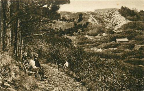 (388-086-011) Schoorl Naar de Orienteertafel, Verzamelen, Ansichtkaarten | Nederland, Noord-Holland, Ophalen of Verzenden