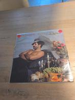 Paul Parker - Too Much To Dream LP, Ophalen of Verzenden, Gebruikt, 12 inch, Overige soorten