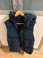 Bodywarmer dames, Kleding | Dames, Bodywarmers, Zara, Blauw, Ophalen of Verzenden, Zo goed als nieuw