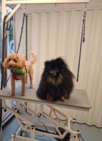 Scheidingswand werkruimte/schuur gratis op te halen, Ophalen of Verzenden