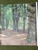 tuindoek/schilderij van bos., Ophalen, Gebruikt