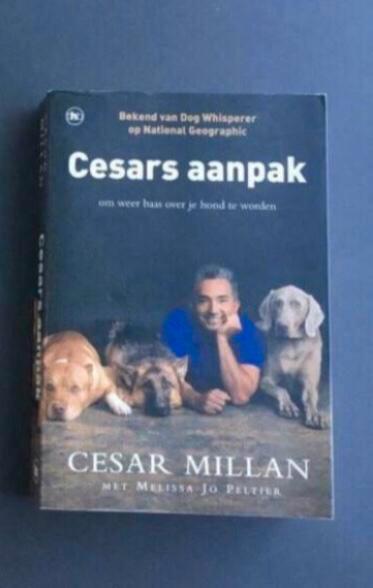 Uw hond trainen opvoeden Cesars aanpak gratis tennisbal, Dieren en Toebehoren, Hondenspeelgoed, Zo goed als nieuw, Intelligentiespeelgoed
