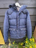 Levis Winterjas Donker Blauw Maat L heren, Maat 52/54 (L), Blauw, Ophalen of Verzenden, Gedragen