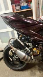 TE RUIL!!, Ophalen of Verzenden