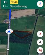 Bosperceel nabij Deventer (Holten), Tuin en Terras, Planten | Bomen, Ophalen, Bloeit niet, Halfschaduw, Overige soorten