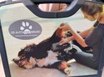 DP dogbrush elektrische borstel, Dieren en Toebehoren, Honden-accessoires, Ophalen, Zo goed als nieuw