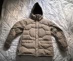 The North Face Winterjas, Kleding | Heren, Jassen | Winter, Beige, Maat 56/58 (XL), Ophalen of Verzenden, Gedragen
