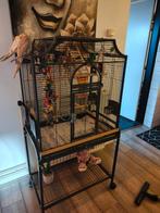 Vogelkooi montana, Ophalen, Zo goed als nieuw, Metaal, Vogelkooi