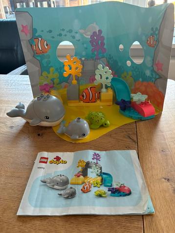 Duplo wilde dieren van de zee beschikbaar voor biedingen