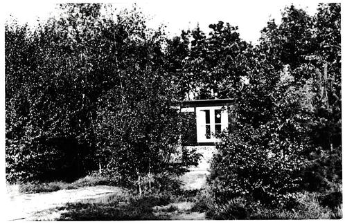 938908	Wezep	Gld 1964 Bunga;ow Zomerhuisje Kampeercentrum	IJ, Verzamelen, Ansichtkaarten | Nederland, Ongelopen, Gelderland, 1960 tot 1980
