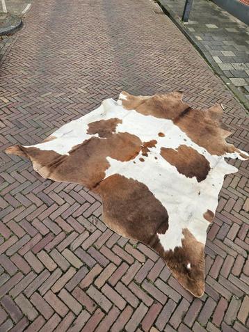 Groot Koeienhuid Kleed beschikbaar voor biedingen
