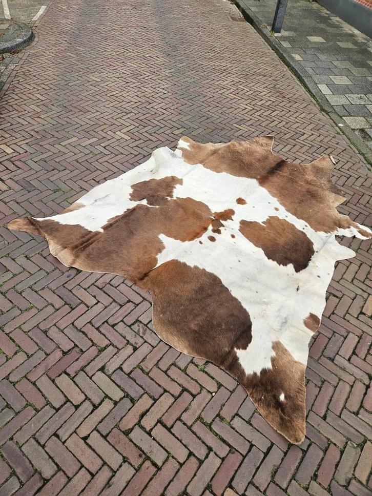 Groot Koeienhuid Kleed, Huis en Inrichting, Stoffering | Tapijten en Kleden, Gebruikt, 150 tot 200 cm, 200 cm of meer, Overige vormen