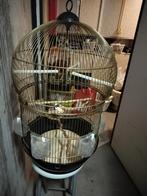 Grote messing bali vogel Kooi Ferplast compleet, Dieren en Toebehoren, Vogels | Hokken en Kooien, Ophalen, Zo goed als nieuw, Vogelkooi