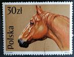 POLEN - paard (arabier) 1989, Polen, Verzenden, Gestempeld