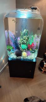 Biorb LIFE 60 liter inclusief toebehoren, Dieren en Toebehoren, Ophalen of Verzenden, Gebruikt, Gevuld zoetwateraquarium
