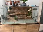 Terrarium, Dieren en Toebehoren, Reptielen en Amfibieën | Toebehoren, Ophalen of Verzenden, Zo goed als nieuw