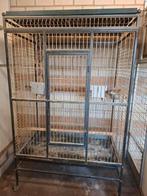 Grote papegaaienkooi op wielen,ook geschikt voor Ara,s, Dieren en Toebehoren, Ophalen, Gebruikt, Metaal, Vogelkooi