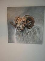 Landelijk schilderij van ram op canvas,, Ophalen of Verzenden, Zo goed als nieuw, Schilderij, 50 tot 75 cm