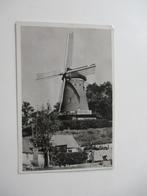 ansichtkaart Panorama - Molen te Rhenen, Verzenden, 1940 tot 1960, Gelopen, Utrecht