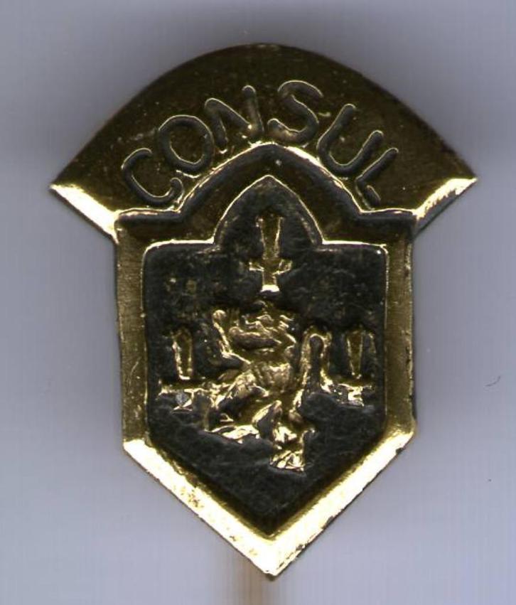 FORD Consul zwart plastic auto speldje ( B_057a ), Verzamelen, Speldjes, Pins en Buttons, Nieuw, Speldje of Pin, Transport, Verzenden