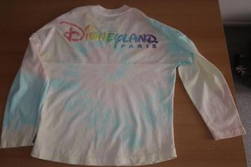 Disney / Disneyland Paris spirit jersey maat 14A beschikbaar voor biedingen
