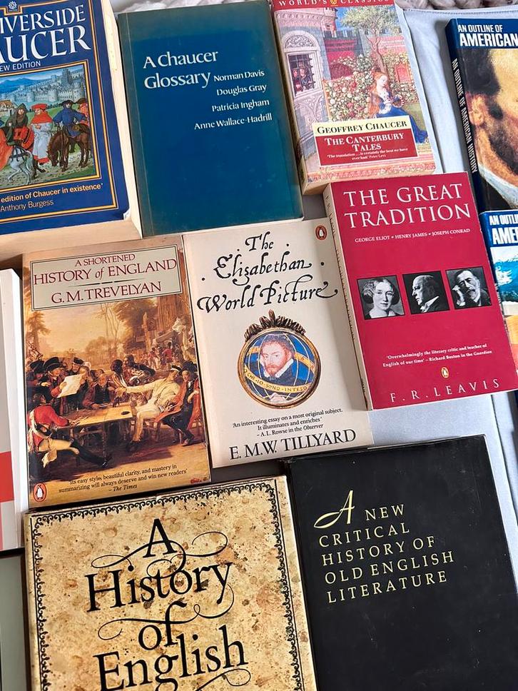 Engelse studie en leesboeken, Boeken, Taal | Engels, Gelezen, Ophalen of Verzenden