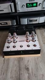 Audio Research VS 110 Buis Versterker, Audio, Tv en Foto, Buizenversterkers, Ophalen of Verzenden, Buis of Buizen